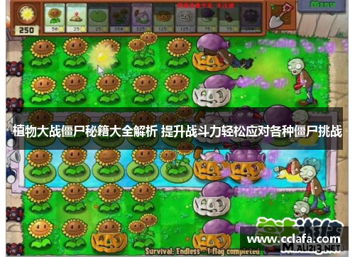 植物大战僵尸秘籍大全解析 提升战斗力轻松应对各种僵尸挑战